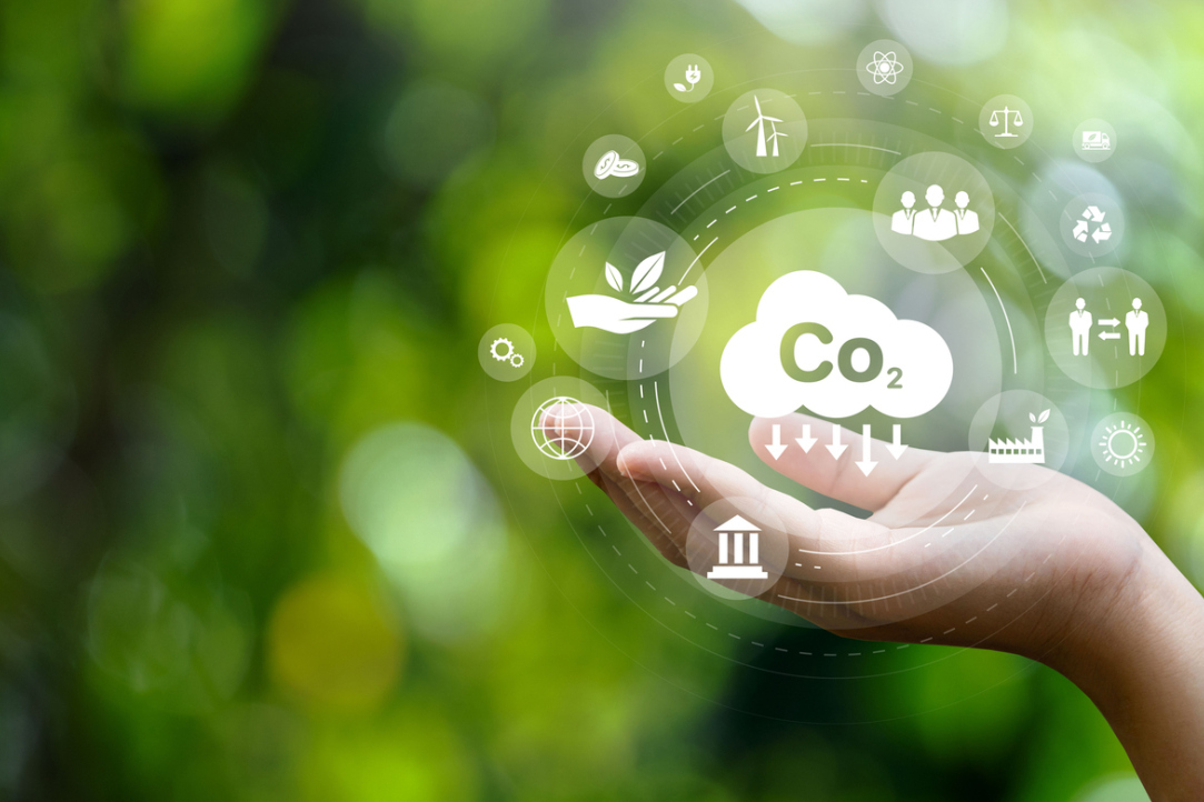 Low-Carbon Exports Reduce CO2 Emissions